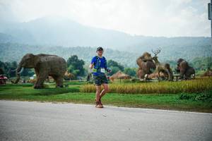 BIB: 
                            <button type="button" onclick="openModal(22436618)" class="btn btn-primary btn-sm float-right btn-popup" data-toggle="modal" data-target=".modal-high-quality">
                        <i class="fas fa-shopping-cart"></i> Add to Cart
                    </button>
                                            <button type="button" onclick="isThisMe(22436618, true)" class="btn btn-success btn-sm float-right btn-popup btn-isme hidden" data-toggle="tooltip" data-placement="bottom" title="นี่คือรูปของคุณใช่ไหม คลิกที่นี่เพื่อเอาเข้าอัลบั้ม">
                        <i class="fas fa-plus"></i> Add to album
                    </button>
                    <button type="button" onclick="isThisMe(22436618, false)" class="btn btn-warning btn-sm float-right btn-popup btn-isnotme hidden">
                        <i class="fas fa-ban"></i> Remove from album
                    </button>